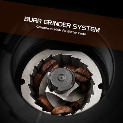 Klein Kegelburr coffee grinder adjustable 19 het Plaatsen Espresso Commerciële Koffiezetapparaten